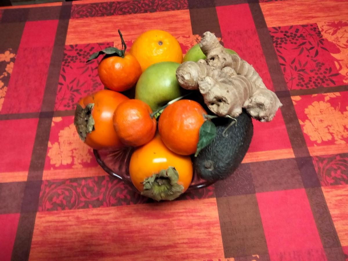 فيلا Larraonaفي Maitia المظهر الخارجي الصورة